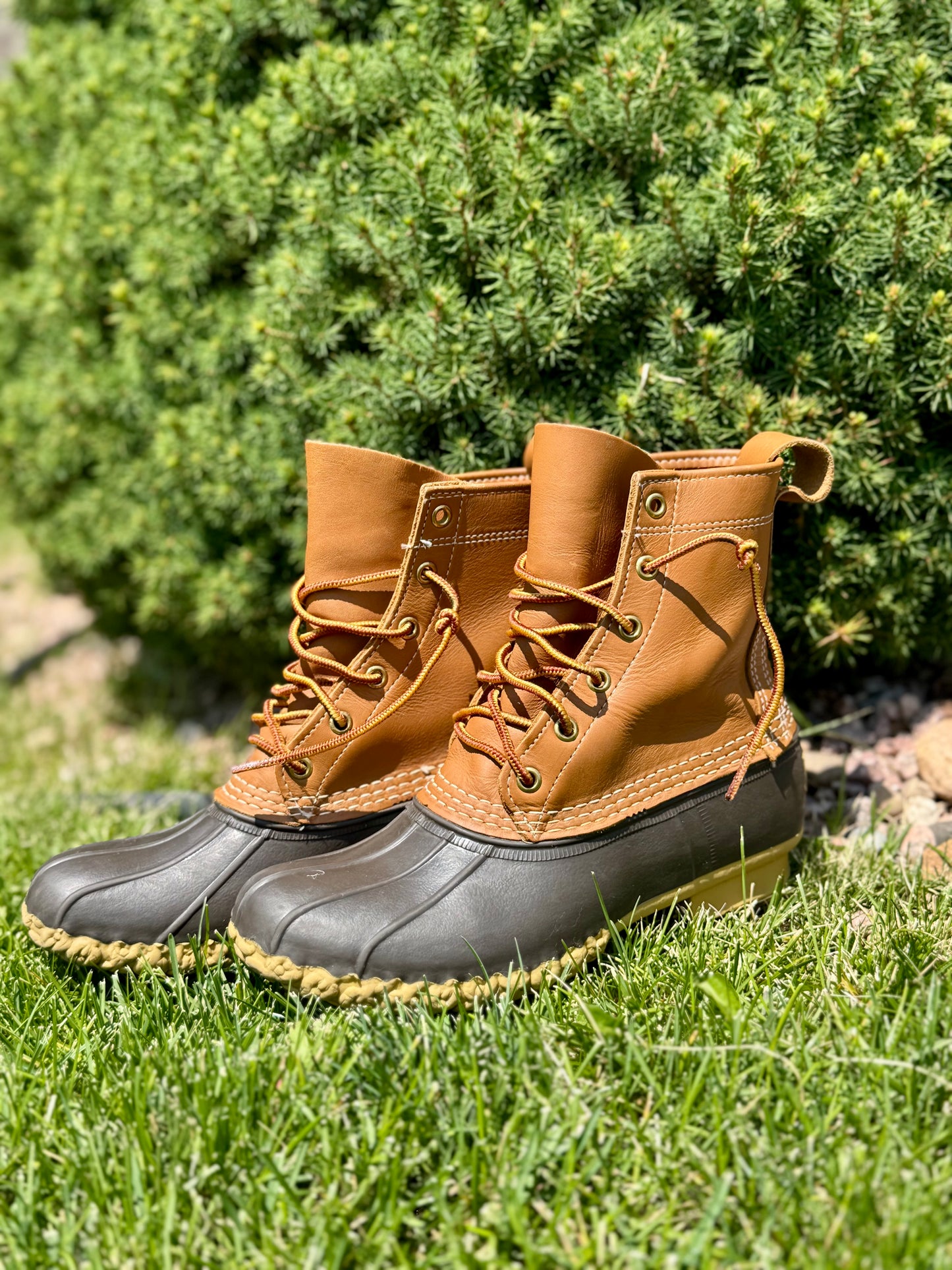 LL Bean 8” Bean Duck Boots - sz 6
