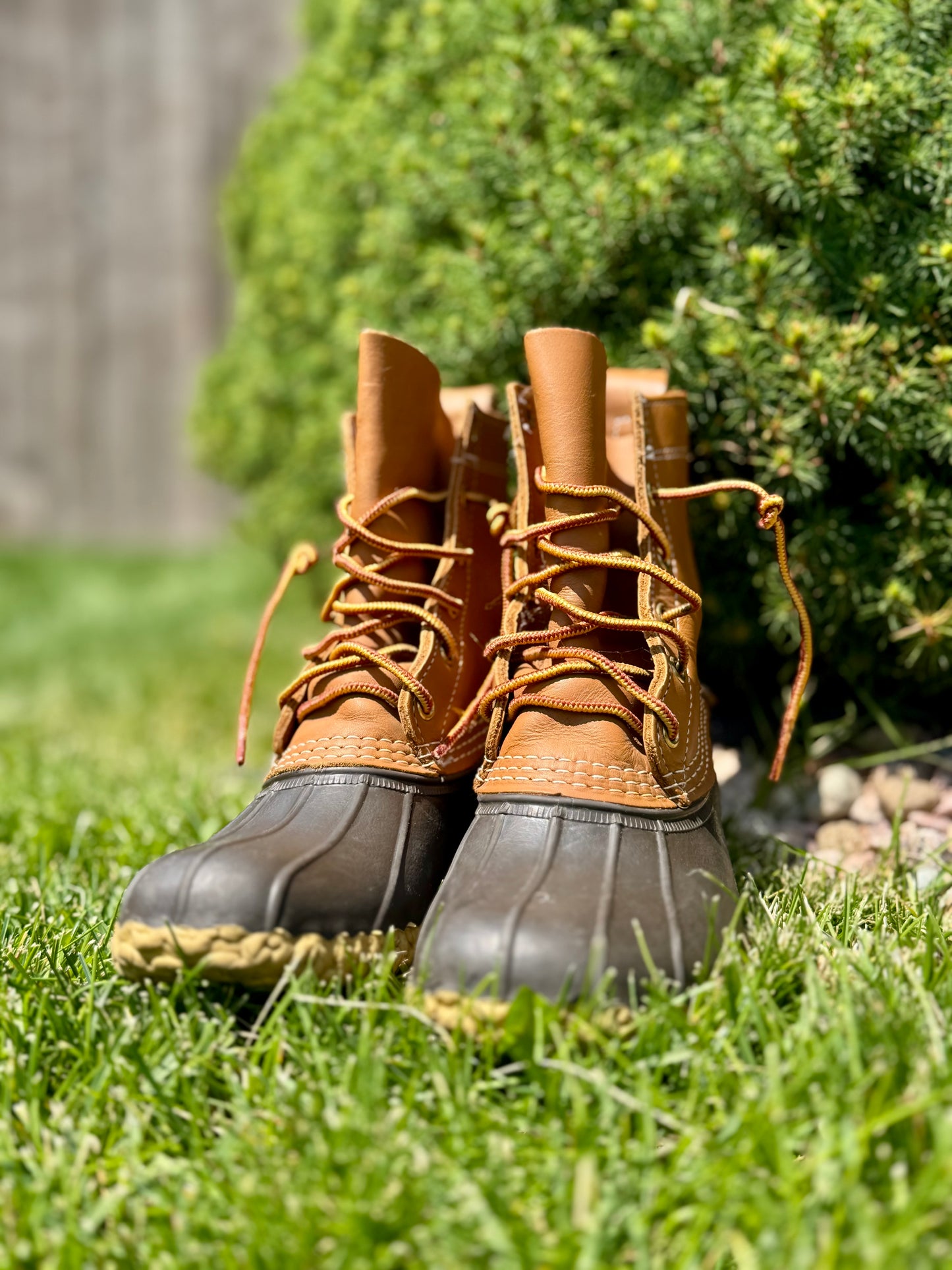LL Bean 8” Bean Duck Boots - sz 6